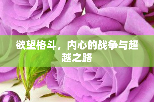 欲望格斗，内心的战争与超越之路