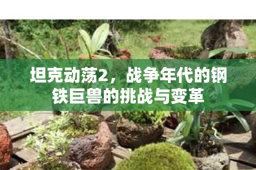 坦克动荡2，战争年代的钢铁巨兽的挑战与变革