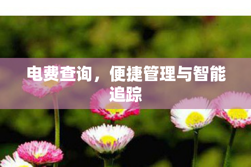 电费查询，便捷管理与智能追踪