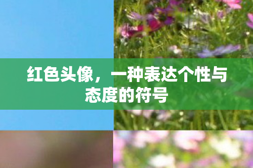 红色头像，一种表达个性与态度的符号