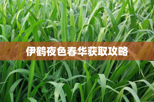 伊鹤夜色春华获取攻略