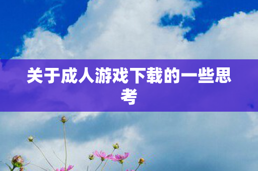 关于成人游戏下载的一些思考