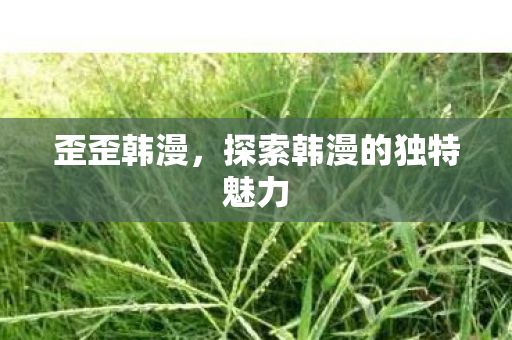 歪歪韩漫，探索韩漫的独特魅力