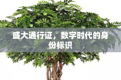 盛大通行证，数字时代的身份标识