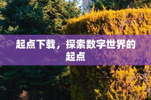 起点下载，探索数字世界的起点