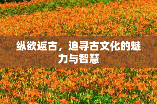 纵欲返古，追寻古文化的魅力与智慧