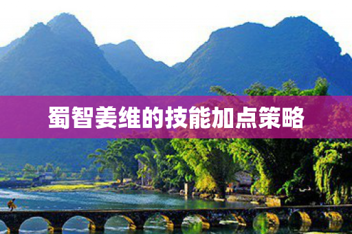 蜀智姜维的技能加点策略