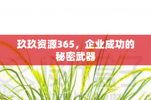 玖玖资源365，企业成功的秘密武器