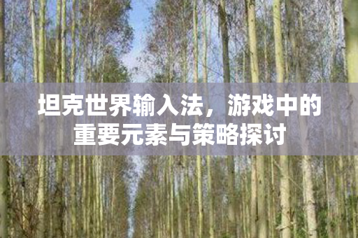 坦克世界输入法，游戏中的重要元素与策略探讨