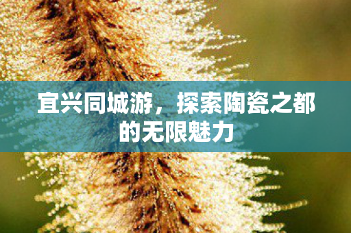 宜兴同城游，探索陶瓷之都的无限魅力