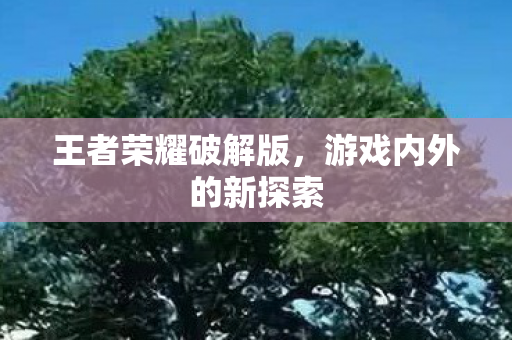 王者荣耀破解版，游戏内外的新探索