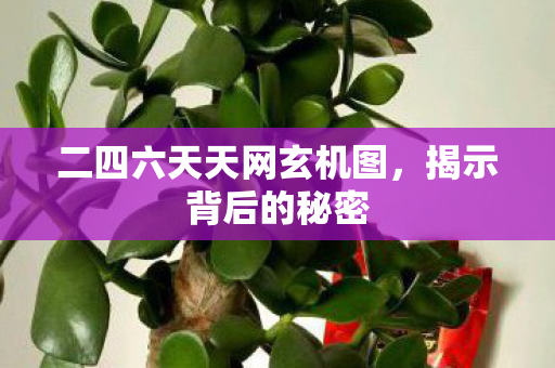 二四六天天网玄机图，揭示背后的秘密