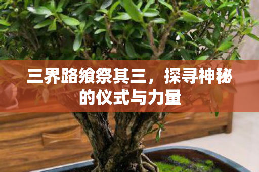 三界路飨祭其三，探寻神秘的仪式与力量