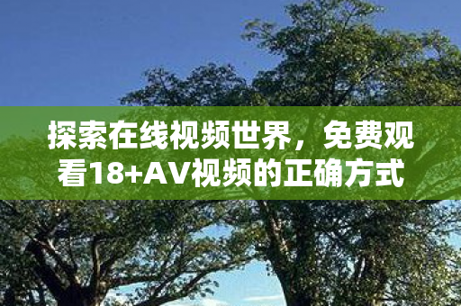 探索在线视频世界，免费观看18+AV视频的正确方式