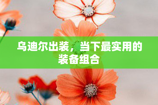 乌迪尔出装，当下最实用的装备组合