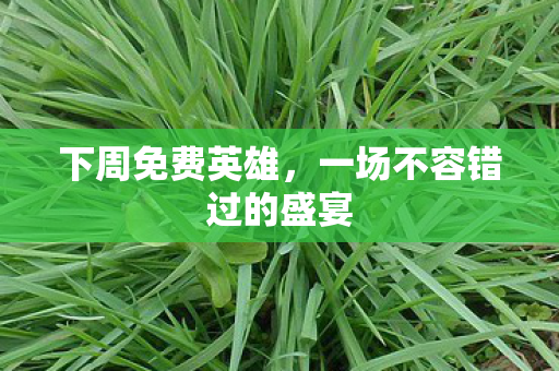 下周免费英雄，一场不容错过的盛宴