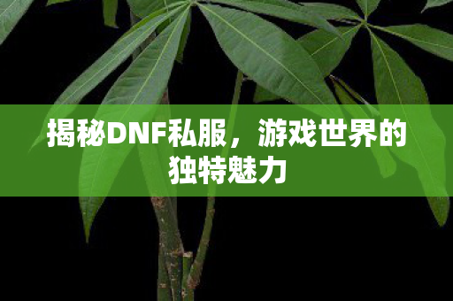 揭秘DNF私服，游戏世界的独特魅力