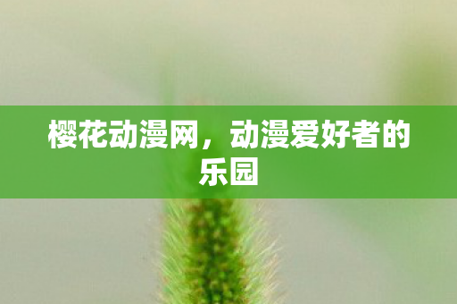 樱花动漫网，动漫爱好者的乐园