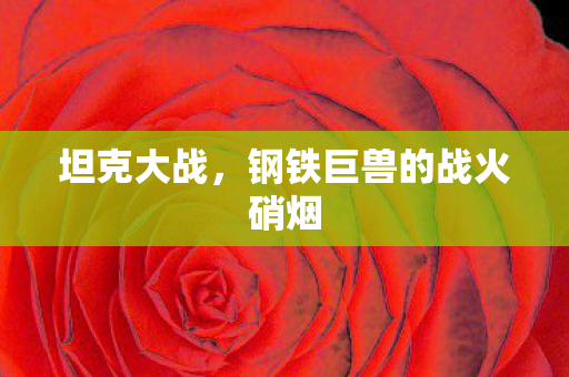 坦克大战，钢铁巨兽的战火硝烟