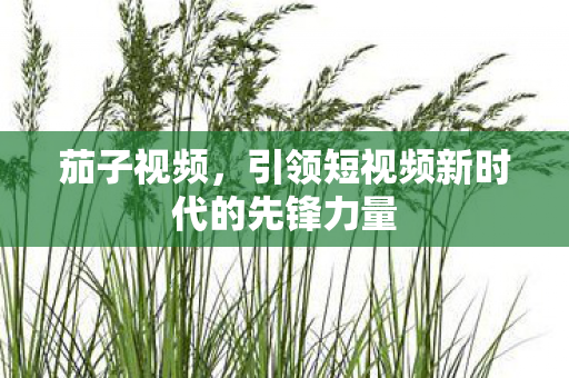 茄子视频，引领短视频新时代的先锋力量