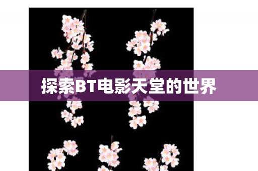 探索BT电影天堂的世界