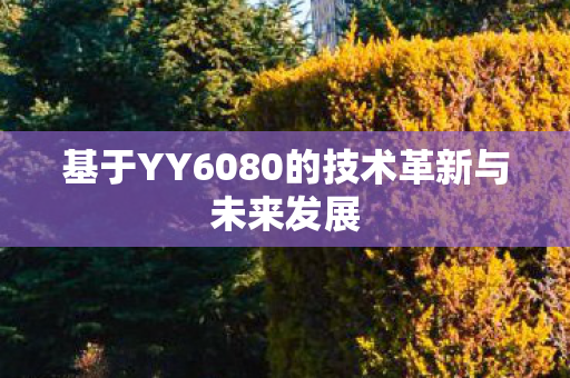 基于YY6080的技术革新与未来发展