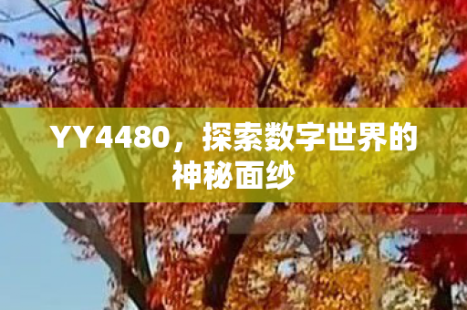 YY4480，探索数字世界的神秘面纱
