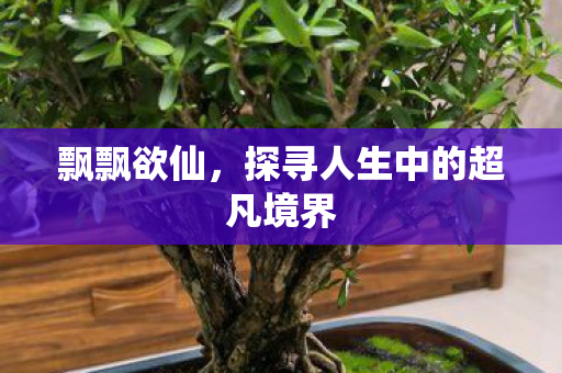 飘飘欲仙，探寻人生中的超凡境界