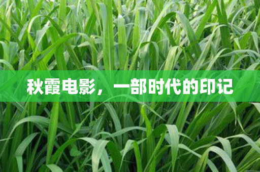 秋霞电影，一部时代的印记