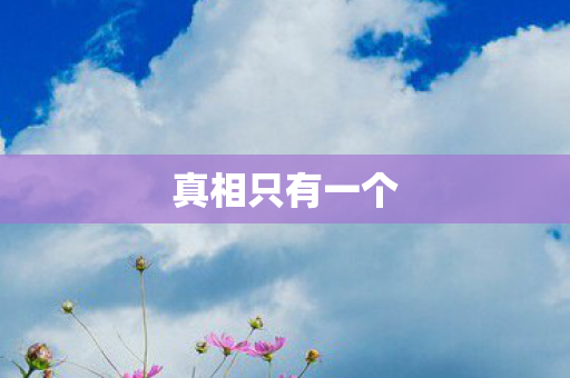 真相只有一个