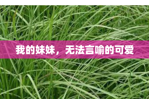 我的妹妹，无法言喻的可爱