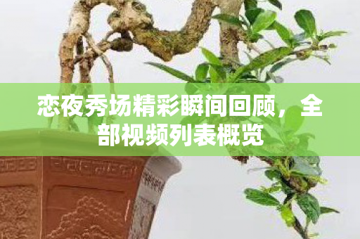 恋夜秀场精彩瞬间回顾，全部视频列表概览