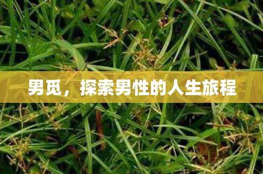 男觅，探索男性的人生旅程