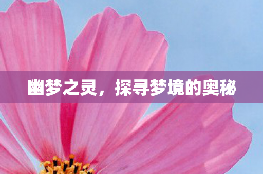 幽梦之灵，探寻梦境的奥秘