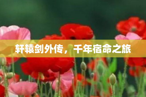 轩辕剑外传，千年宿命之旅