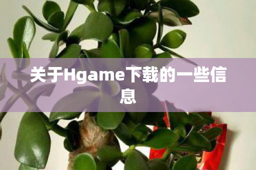 关于Hgame下载的一些信息