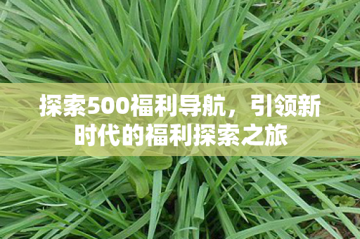 探索500福利导航，引领新时代的福利探索之旅