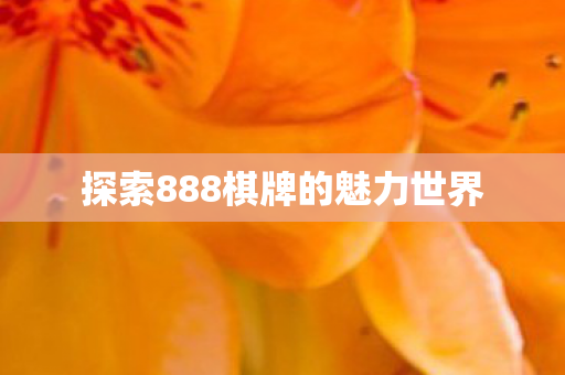 探索888棋牌的魅力世界
