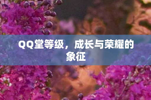 QQ堂等级，成长与荣耀的象征