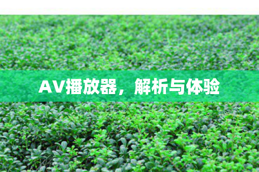 AV播放器，解析与体验