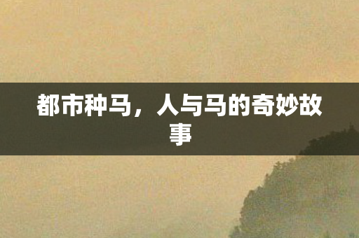都市种马，人与马的奇妙故事