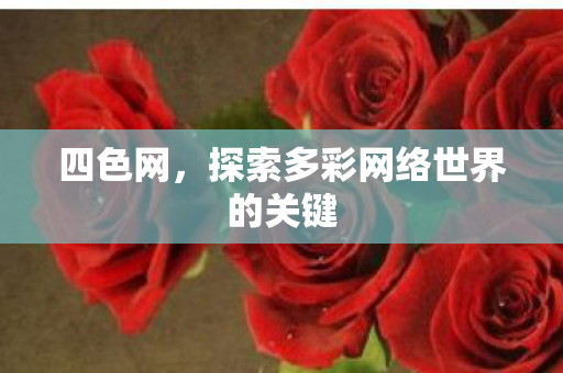 四色网，探索多彩网络世界的关键
