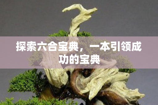 探索六合宝典，一本引领成功的宝典