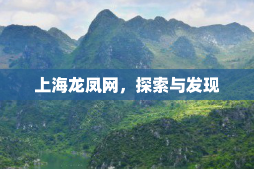 上海龙凤网，探索与发现