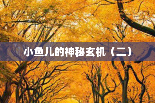 小鱼儿的神秘玄机（二）