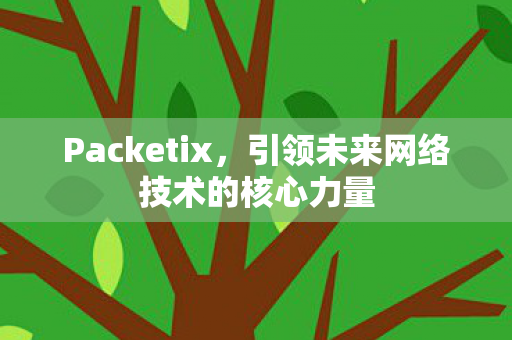 Packetix,引领未来网络技术的核心力量 Packetix,引领未来网络技术的核心力量