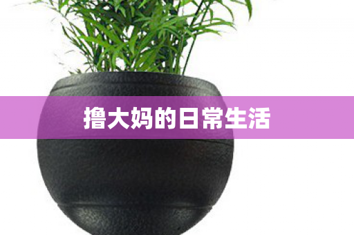 撸大妈的日常生活