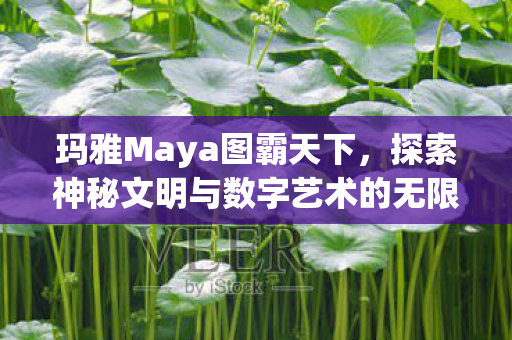 玛雅Maya图霸天下，探索神秘文明与数字艺术的无限魅力
