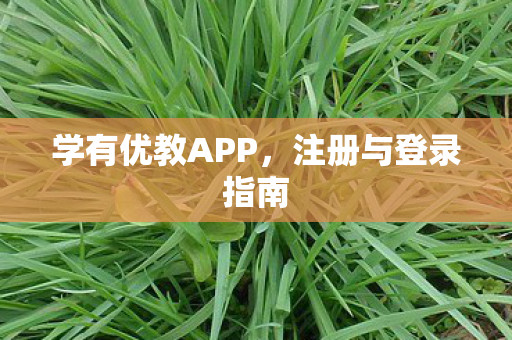 学有优教APP，注册与登录指南