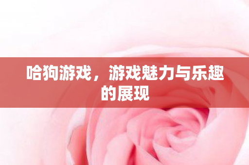哈狗游戏，游戏魅力与乐趣的展现